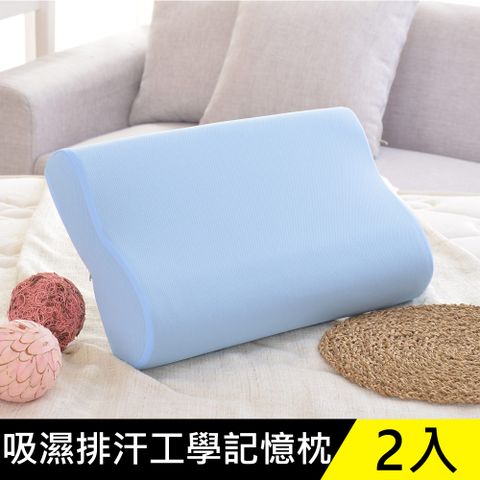 LooCa吸濕排汗人體工學記憶枕(2入)-藍
