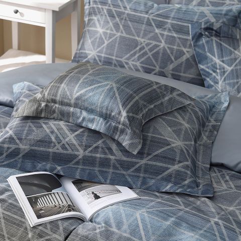 500織 SUPIMA匹馬棉 里恩伯德 歐式壓框枕套2入