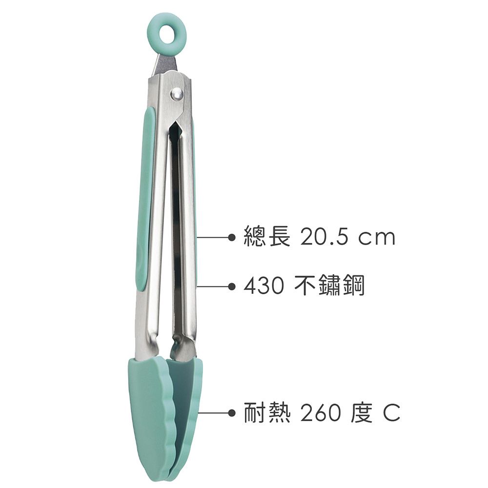 Taylors Eye Witness 《TaylorsEye》矽膠餐夾(湖水綠20.5cm) | 料理夾 分菜夾 食品夾