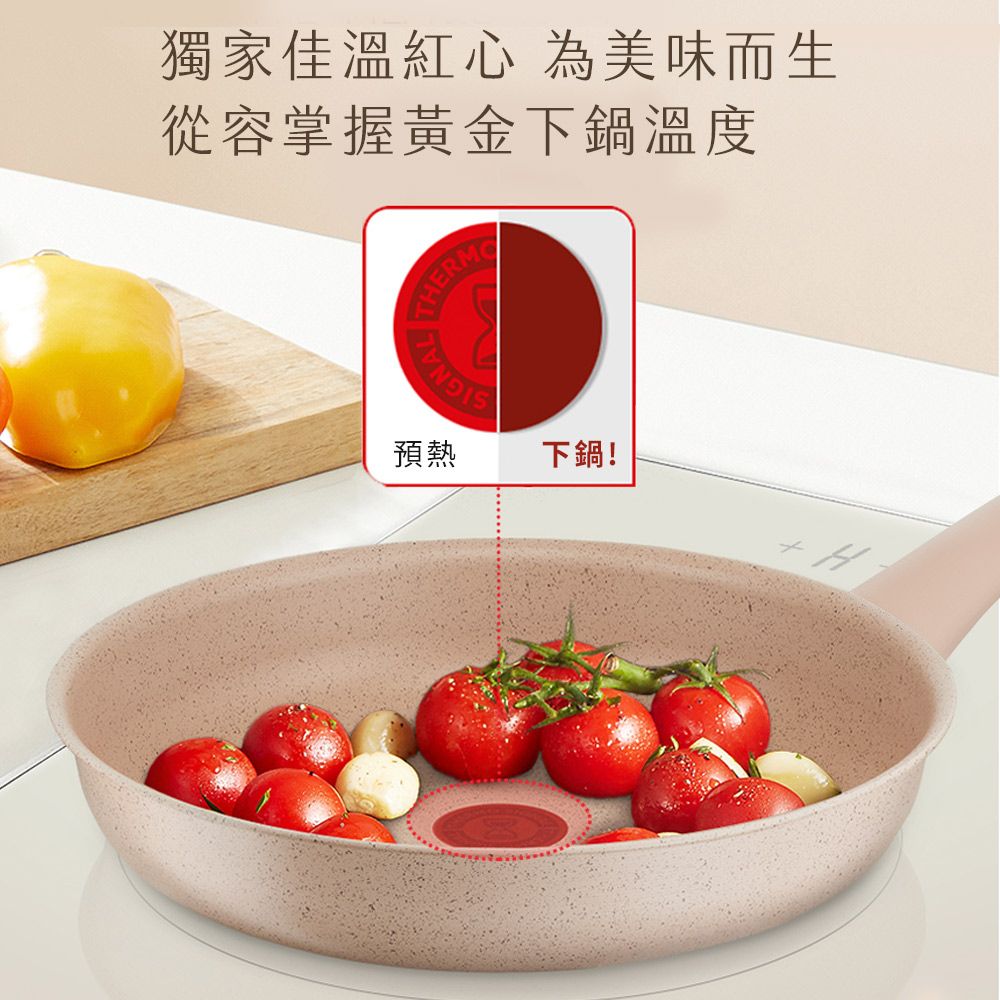 Tefal 特福 法國 法式歐蕾系列28CM不沾平底鍋+玻璃蓋適用電磁爐法國製