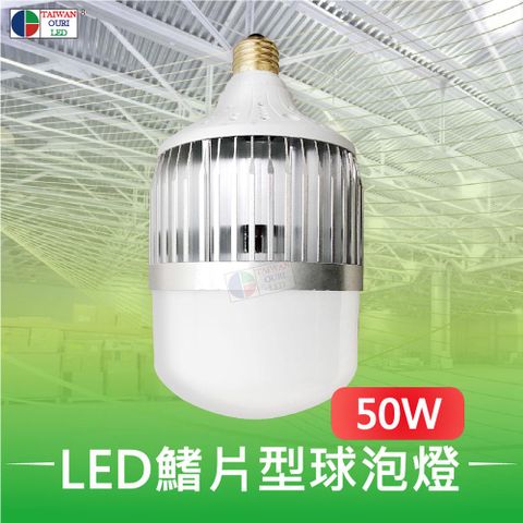 台灣歐日光電 LED 50W鰭片型球泡燈