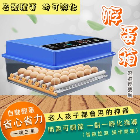 家用全自動 智能孵化箱 48枚滾軸 孵化器 孵化機 可接12V自動控溫孵蛋機