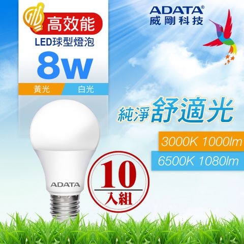 【ADATA 威剛】8W 高效能 LED球型燈泡(超值10入組)
