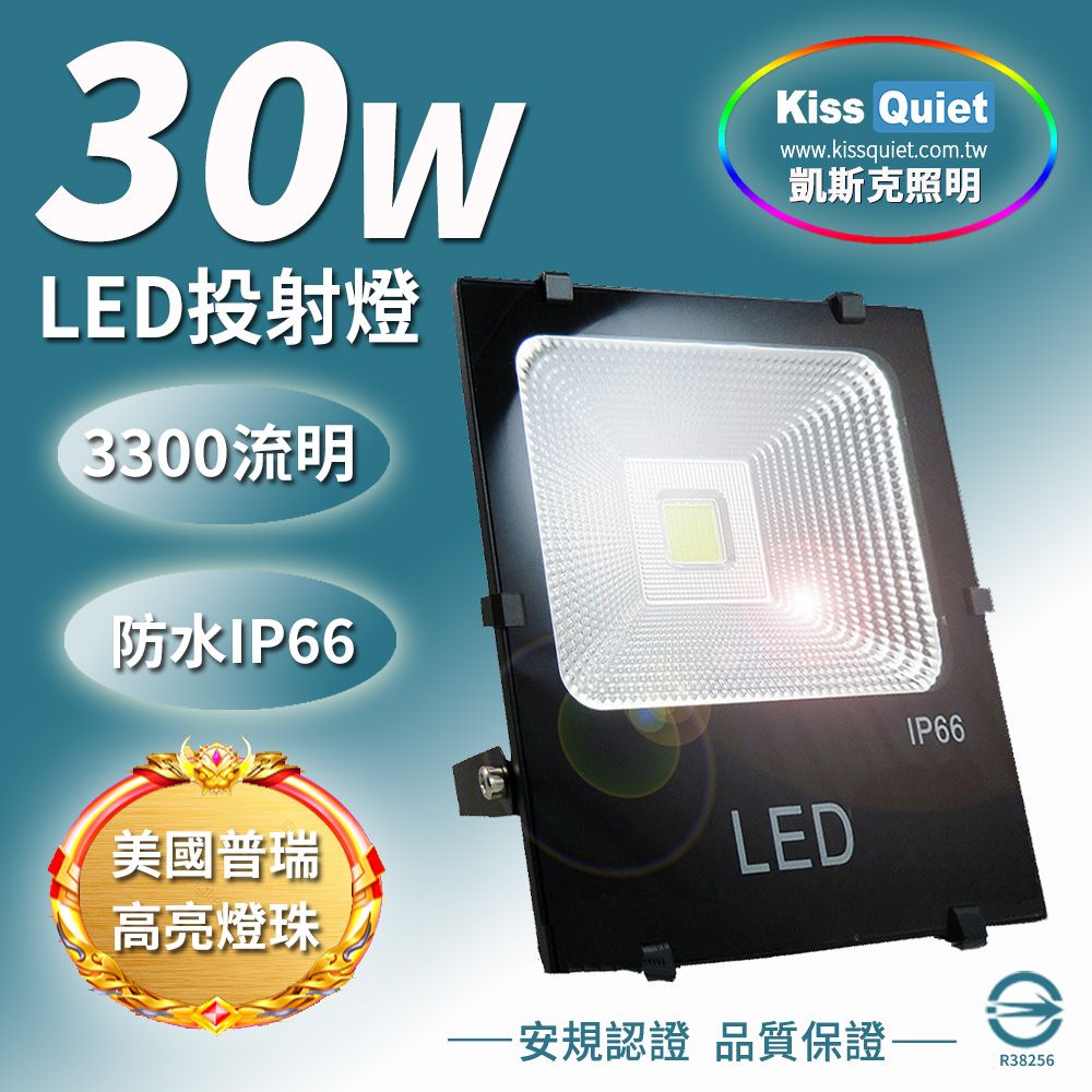 Kiss Quiet 凱斯克  質感黑(白光/黄光)30W LED投射燈全電壓探照燈-1入