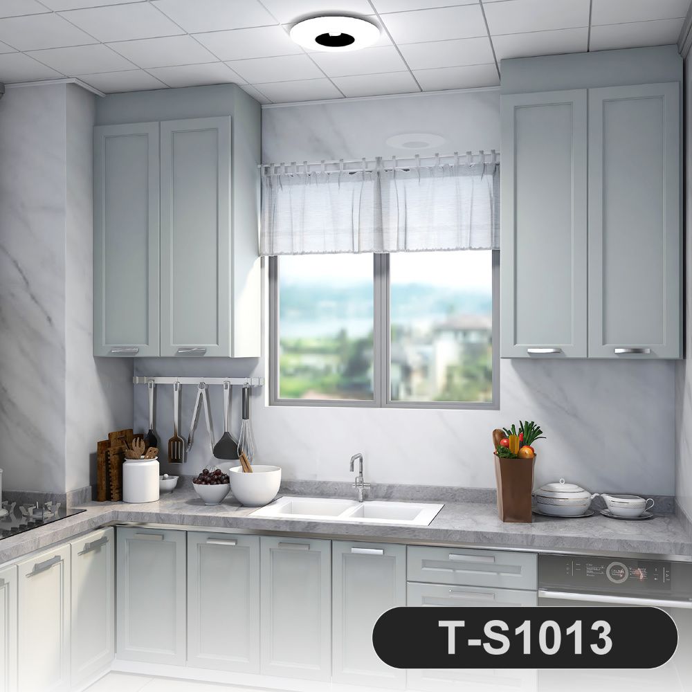 T-S1013