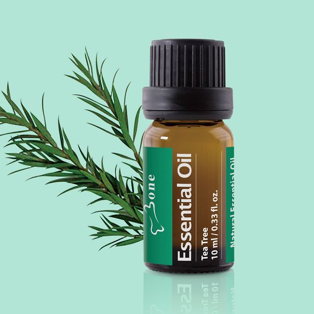 Bone  / 茶樹精油 Essential Oil - Tea Tree 10ml