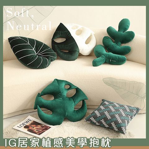 IG居家植感美學抱枕 北歐風沙發抱枕 靠枕 擺飾 龜背葉 植物 蔓綠絨