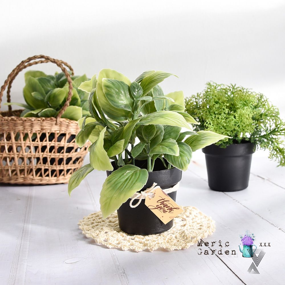 Meric Garden 創意北歐仿真療癒小綠植盆栽/桌面裝飾擺設_2款一組