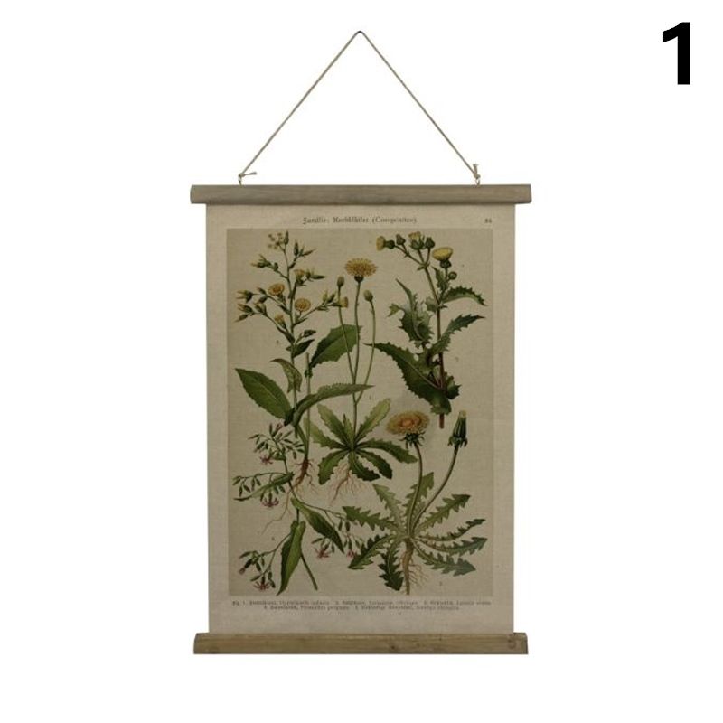 美式復古卷軸植物圖鑑裝飾掛畫40*60CM(4款可選) - PChome 24h購物