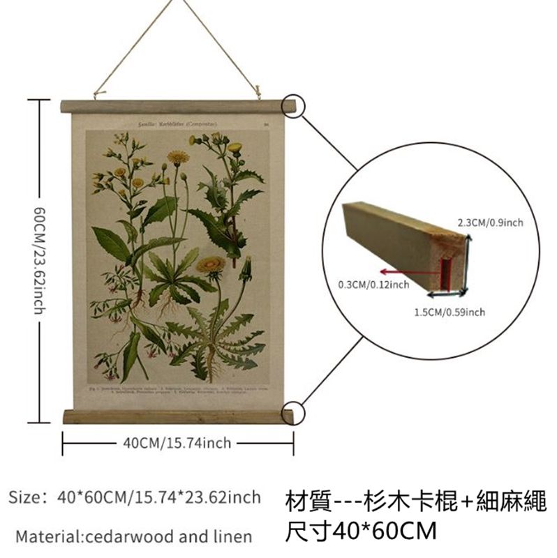 美式復古卷軸植物圖鑑裝飾掛畫40*60CM(4款可選) - PChome 24h購物