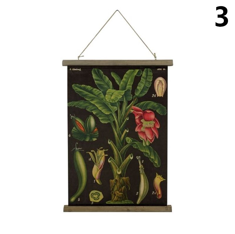 美式復古卷軸植物圖鑑裝飾掛畫40*60CM(4款可選) - PChome 24h購物