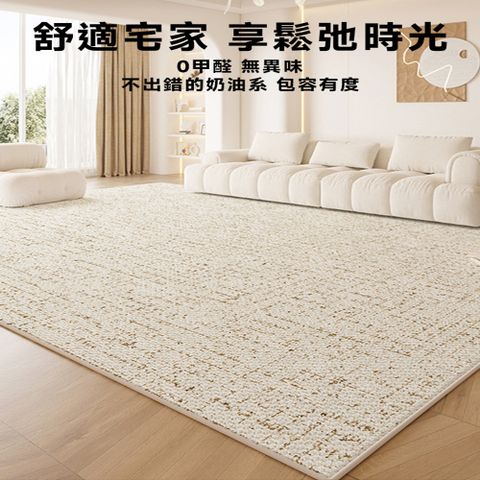 【Secaii設彩品牌店】 簡約免洗地毯200*250cm 全新防水面料 防水抗污 簡約百搭