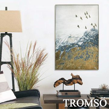 TROMSO 北歐風尚板畫有框畫-飛鳥登峰WA103