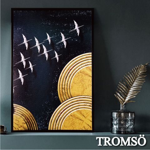 TROMSO 北歐時代風尚有框畫-星辰繡鳥WA183