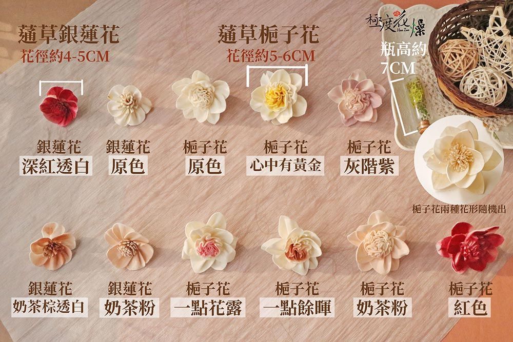 草銀蓮花花徑約4-5CM草梔子花極度花徑約5-6CM瓶高約7CM銀蓮花 銀蓮花梔子花梔子花梔子花深紅透白原色原色心中有黃金灰階紫梔子花兩種花形隨機出銀蓮花銀蓮花梔子花梔子花梔子花梔子花奶茶棕透白 奶茶粉 一點花露 一點餘暉奶茶粉紅色