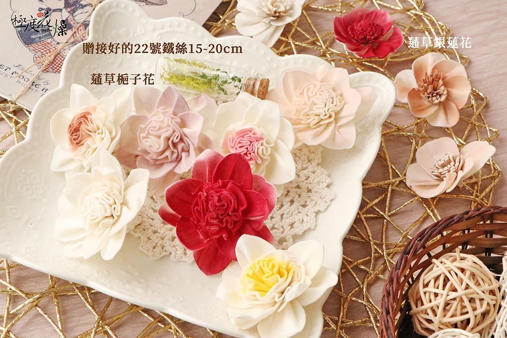 by贈接好的22號鐵絲15-20cm草草銀蓮花