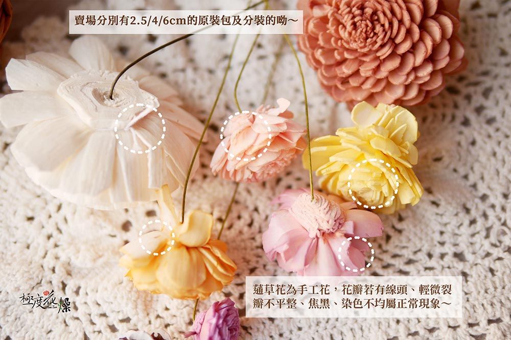 賣場分別有2.5/4/6cm的原裝包及分裝的呦~草花為手工花,花若有線頭、輕微裂瓣不平整、焦黑、染色不均屬正常現象~極度