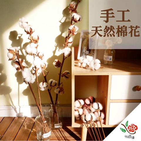 永生花乾燥花材專賣店 天然棉花 未整理 1個 分裝 花材