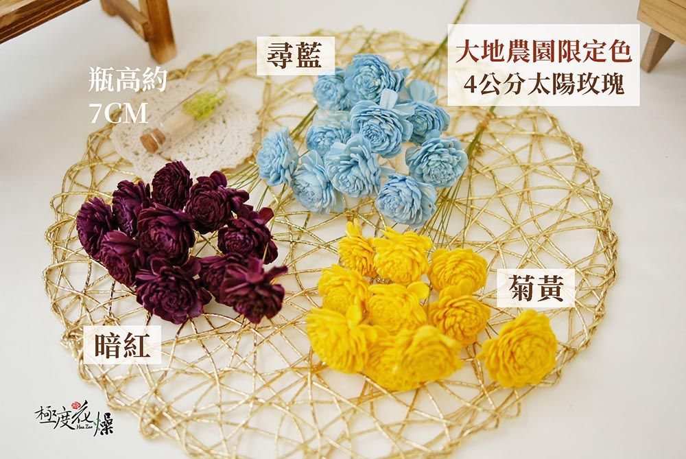 尋藍瓶高約7CM暗紅大地農園限定色4公分太陽玫瑰菊黃