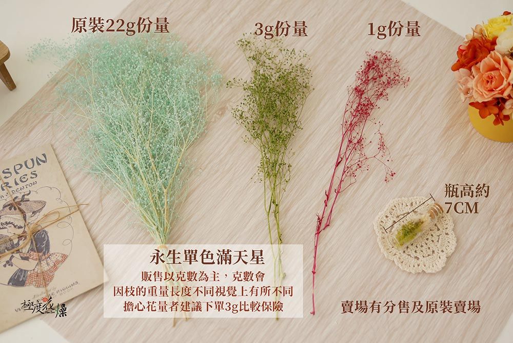 DENTON極度原裝22g份量份量份量瓶高約7CM永生單色滿天星販售以克數為主,克數會因枝的重量長度不同視覺上有所不同擔心花量者建議下單3g比較保險賣場有分售及原裝賣場