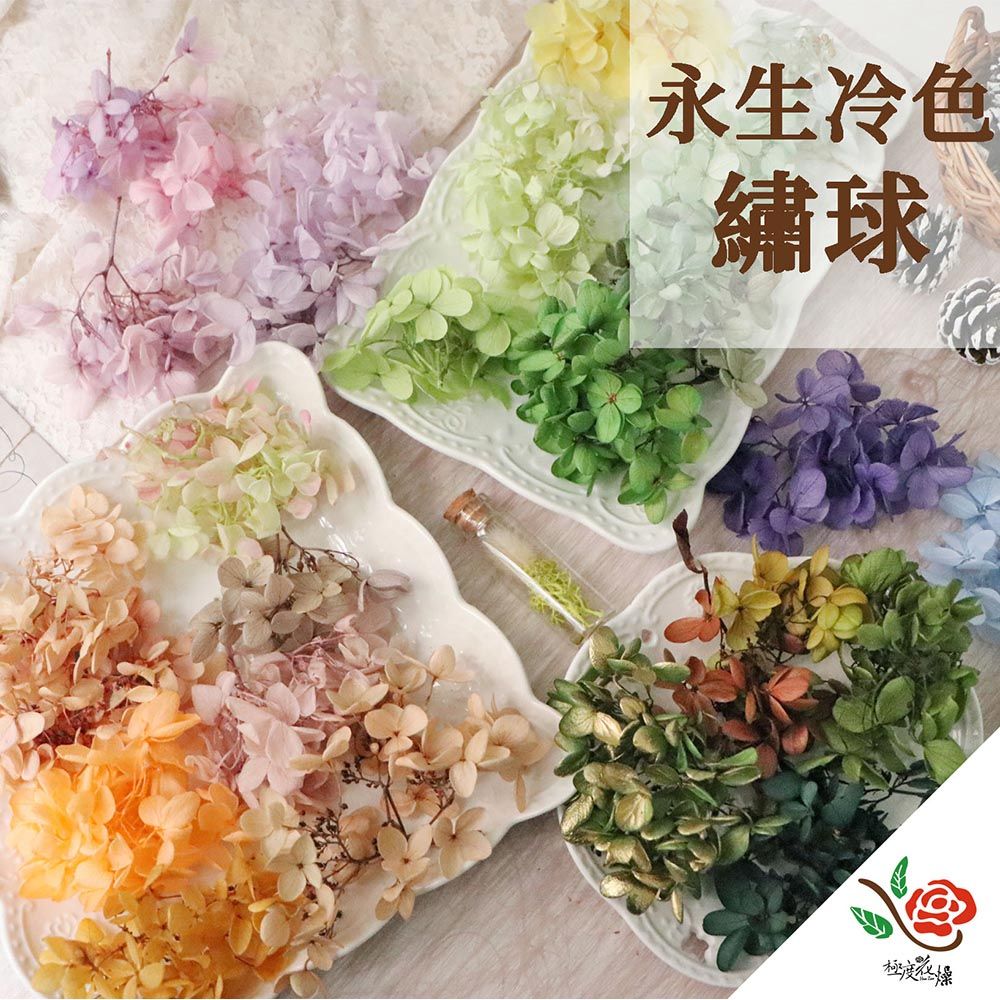 極度花燥 永生花乾燥花材專賣店 繡球 冷色 約1g 分裝 花材