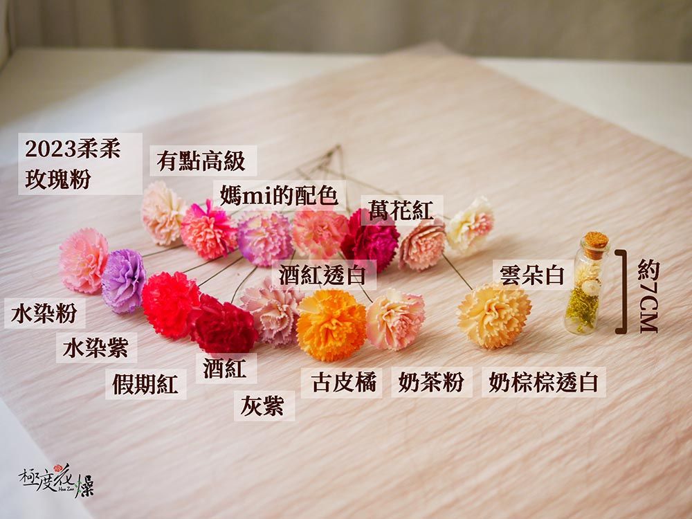 2023柔柔有點高級玫瑰粉媽mi的配色萬花紅酒紅透白雲朵白水染粉水染紫酒紅假期紅古皮橘 奶茶粉 奶棕棕透白灰紫