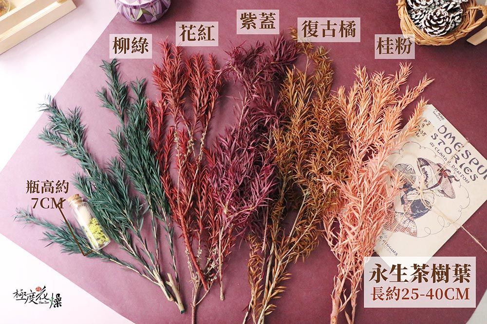 紫蓋花紅復古橘 柳綠桂粉瓶高約7CMOMESPO   永生茶樹葉長約25-40CM
