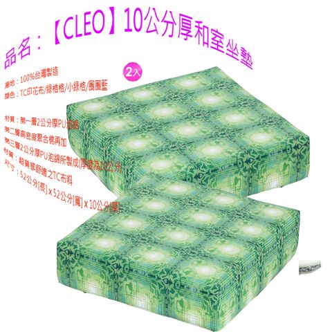 CLEO 10公分厚和室坐墊/TC印花布(2入)