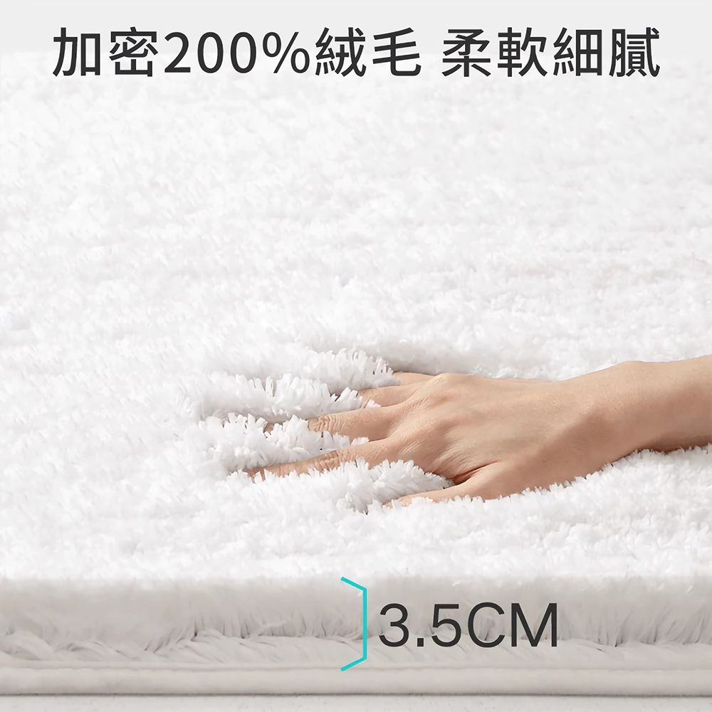  大江 Ag+日本銀離子抗菌吸水地墊 加厚絨毛雲端腳感 廁所浴室防滑腳踏墊 速乾止滑墊40x60cm