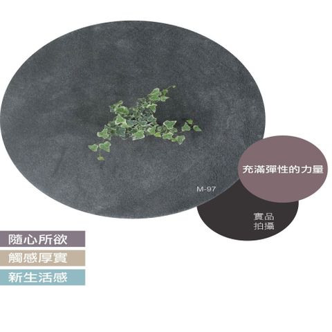 [范登伯格] 比利時 Magnificus超厚實進口地毯 深灰 (100cm圓  )