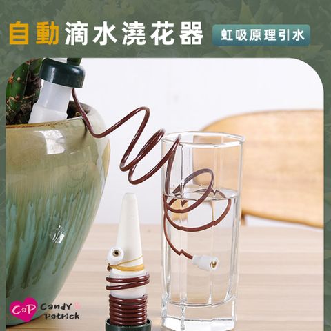 上手家居 自動滴水澆花器 2入組(自動澆水/澆水器/自動澆花/自動澆水器/自動澆花器/滴水器/澆花神器)