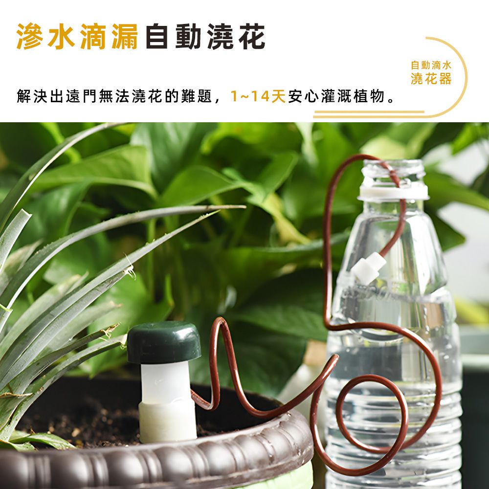 上手家居 自動滴水澆花器 2入組(自動澆水/澆水器/自動澆花/自動澆水器/自動澆花器/滴水器/澆花神器)