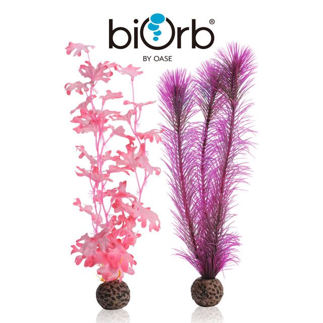 OASE 歐亞瑟 biOrb 粉色仿真海草組(中)