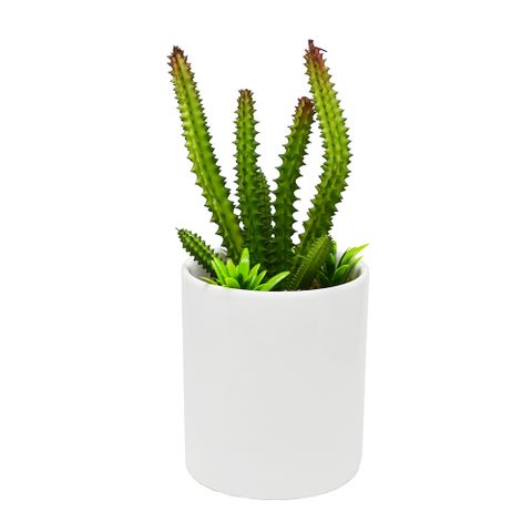 【YU Living迷你仿真仙人掌植物裝飾盆栽二件組(綠色)