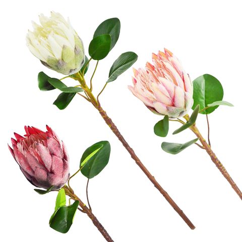 YU Living 信歐傢居 仿真裝飾帝王花二件組 人造花 園藝造景(大株花朵/二件一組/3色)