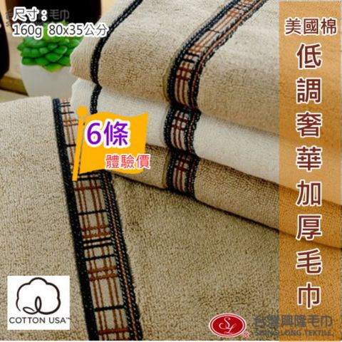 美國棉＊低調奢華厚款毛巾(6條 經濟家庭號)  【台灣興隆毛巾製】飯店級厚度