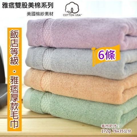 美國棉＊雅痞雙股厚款毛巾(6條小資組)  【台灣興隆毛巾製】飯店級厚度