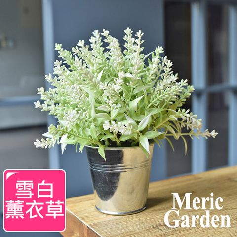 Meric Garden 創意北歐ins風仿真迷你療癒小盆栽/桌面裝飾擺設_雪白薰衣草