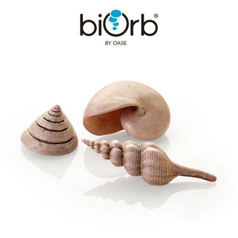OASE 歐亞瑟 biOrb 仿真貝殼3入組(白色)