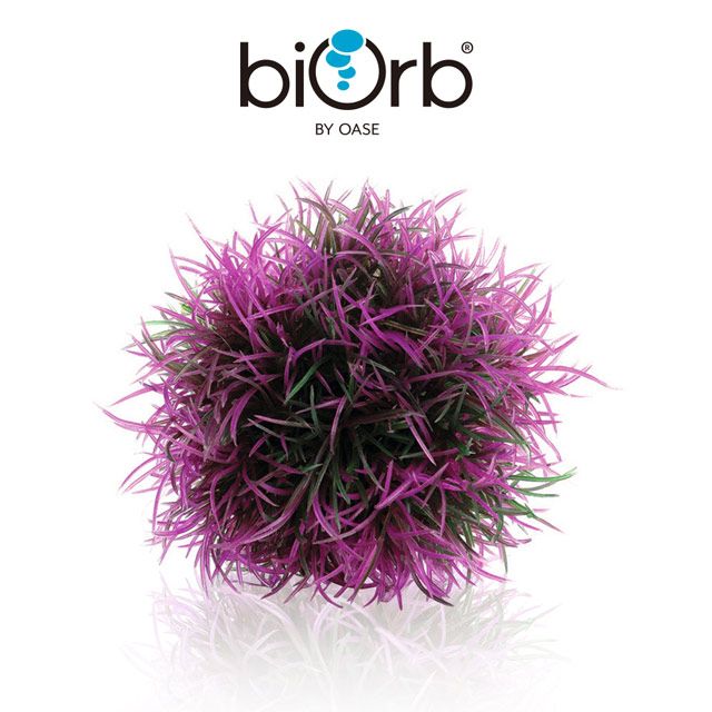 OASE 歐亞瑟 biOrb 造型水草球(紫色)