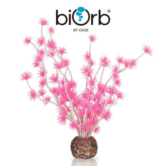 OASE 歐亞瑟 biOrb 仿真小刺松(粉色)