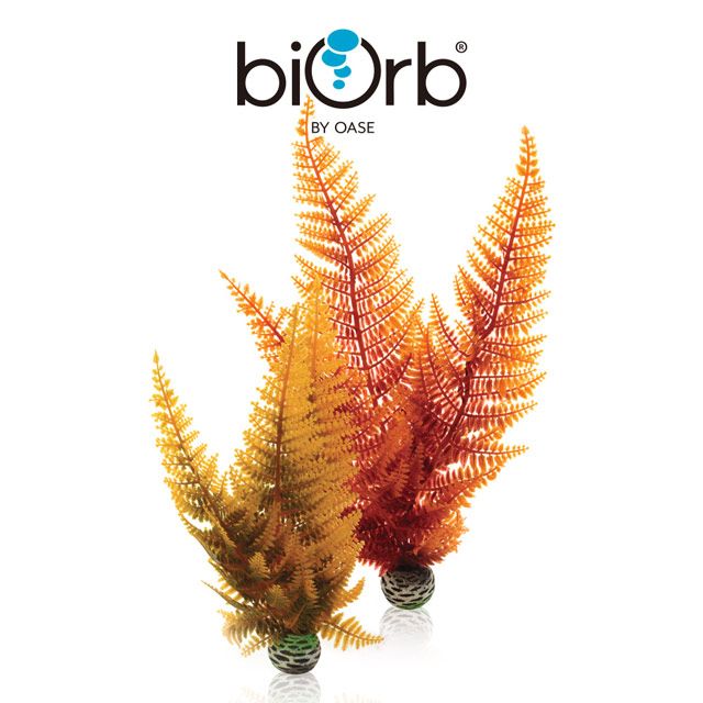 OASE 歐亞瑟 biOrb 造型水生秋蕨2入組