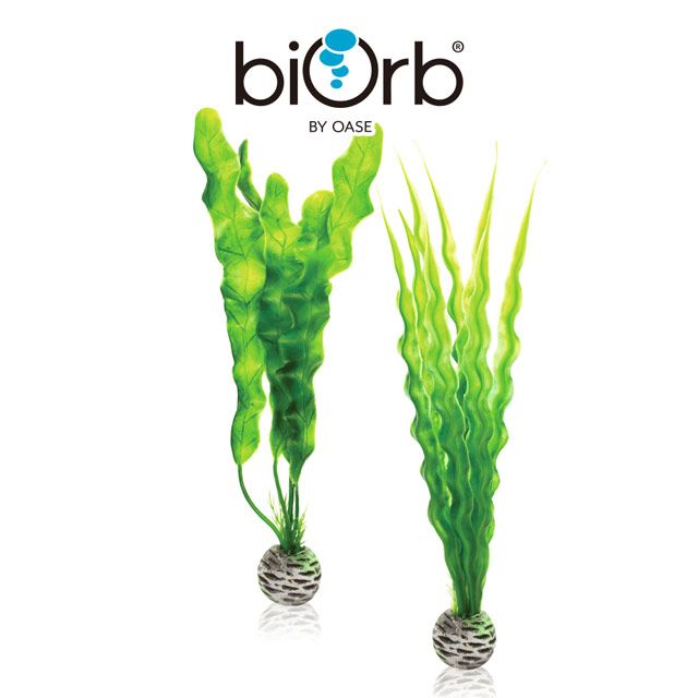 OASE 歐亞瑟 biOrb 綠色仿真植栽組(中)