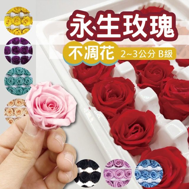  8入一組 永生玫瑰花 B級品不凋花玫瑰 2-3cm 永生花 乾燥花 浮游花 生日禮 聖誕節 情人節