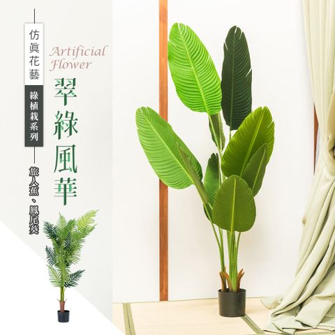 dayneeds 日需百備 仿真草植-綠植栽系列/翠綠風華(2款可選)