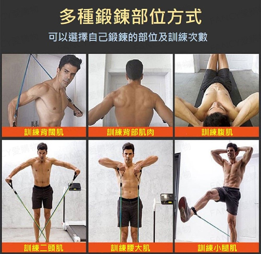 多種鍛鍊部位方式ANCY可以選擇自己鍛鍊的部位及訓練次數訓練背闊肌訓練背部肌肉Y愛購物訓練腹肌訓練二頭肌訓練腰大肌訓練小腿肌