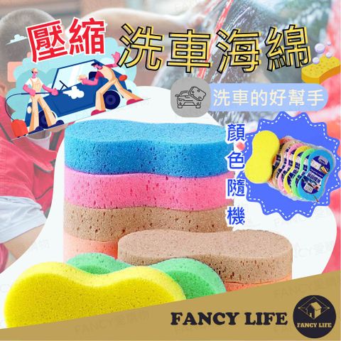 FANCY LIFE 壓縮洗車海綿