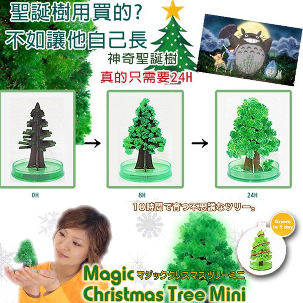 金德恩 開花聖誕樹一組(DIY 魔法樹 開花樹 人造花 聖誕裝飾)