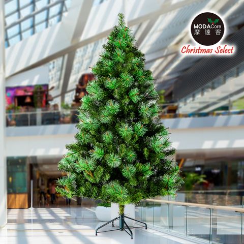 摩達客★台灣製10呎/10尺(300cm)PVC+松針深淺綠擬真混合葉聖誕樹 裸樹(不含飾品不含燈)本島免運費