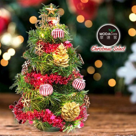 摩達客耶誕_台製迷你1尺(30cm)裝飾聖誕樹(木質雪花系)+LED20燈銅線燈(暖白光/USB電池兩用充電)